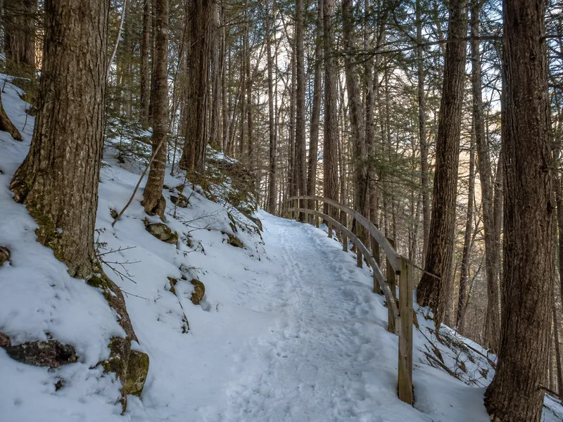 Der unbefestigte Waldweg zum Jigokudani Yaen-koen