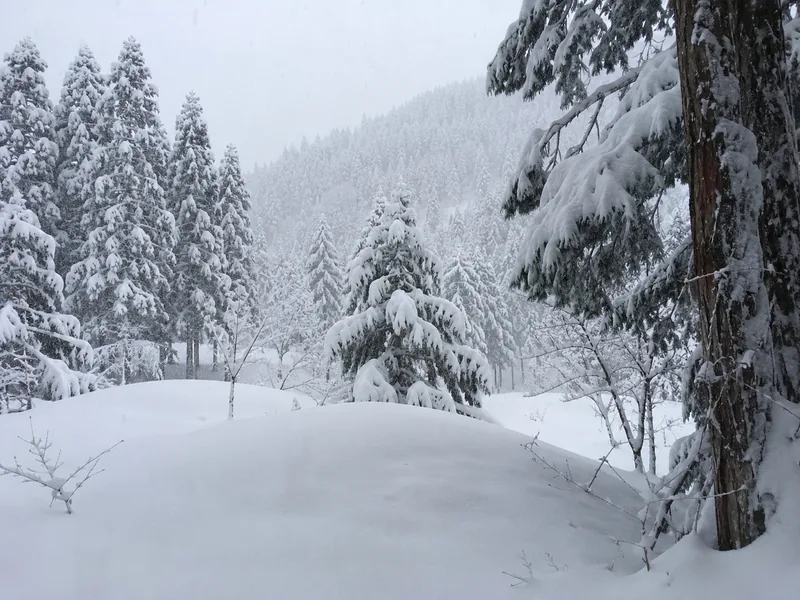 Tiefer Schnee rund um den Park im Hochwinter